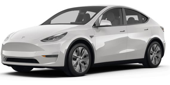 TESLA MODEL Y 2024 7SAYGDEE0RF025251 image